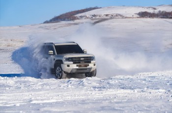 年度榜单出炉，比亚迪交出2025年中国车市亮眼成绩单